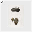2-61_Zoology-of-New-York_postcard