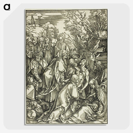 2-62_Albrecht-Durer_picture-crop
