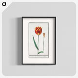 2-62_Anselmus-Boetius-de-Boodt_blk