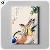 アートパネル-Mandarin Ducks
 - クリーブランド美術館 Canvas.