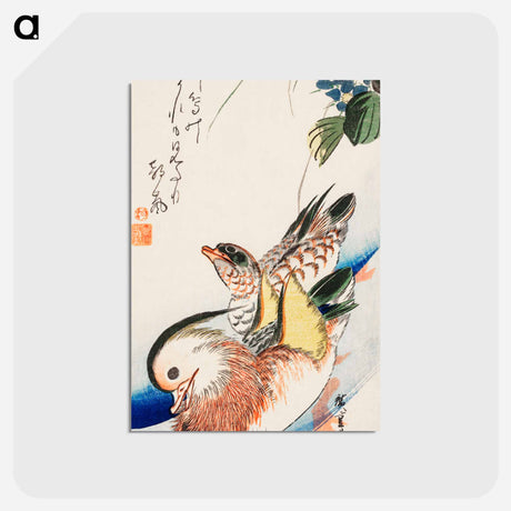 アートポストカード-Mandarin Ducks
 - クリーブランド美術館 Postcard.