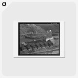 2-62_Dorothea-Lange_hagaki