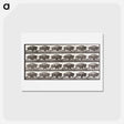 アートポストカード-Animal Locomotion Plate 699
 - エドワード マイブリッジ Postcard.