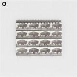 2-62_Eadweard-Muybridge_memo