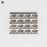 アートメモ帳-Animal Locomotion Plate 699
 - エドワード マイブリッジ Memo.