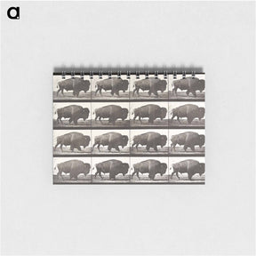 アートメモ帳-Animal Locomotion Plate 699
 - エドワード マイブリッジ Memo.