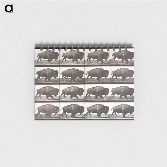 アートメモ帳-Animal Locomotion Plate 699
 - エドワード マイブリッジ Memo.