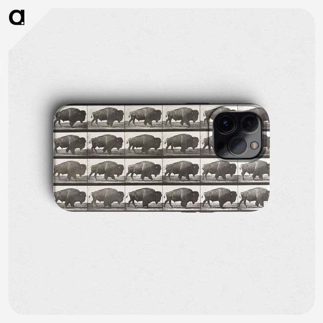 2-62_Eadweard-Muybridge_phone