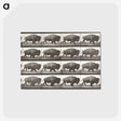 2-62_Eadweard-Muybridge_postcard