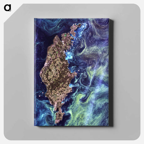 アートパネル-Phytoplankton Bloom around Gotland
 - 上空からの地球 Canvas.