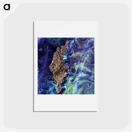 アートポストカード-Phytoplankton Bloom around Gotland
 - 上空からの地球 Postcard.