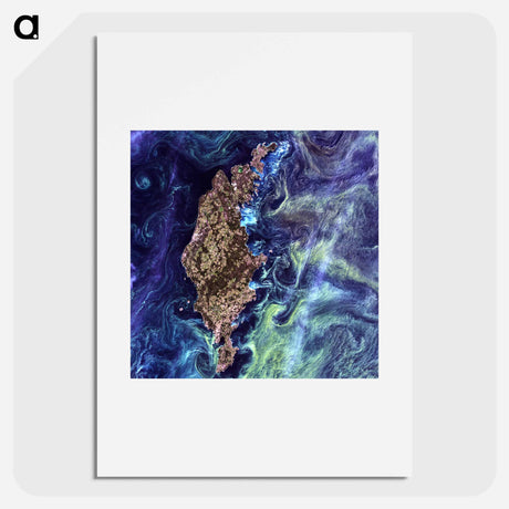アートポスター-Phytoplankton Bloom around Gotland
 - 上空からの地球 Poster.