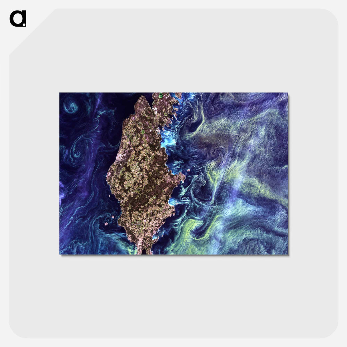 アートポストカード-Phytoplankton Bloom around Gotland
 - 上空からの地球 Postcard.