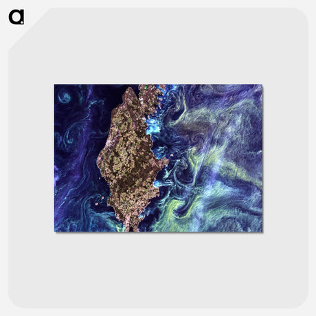 アートポストカード-Phytoplankton Bloom around Gotland
 - 上空からの地球 Postcard.