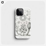 2-62_Ernst-Haeckel_phone