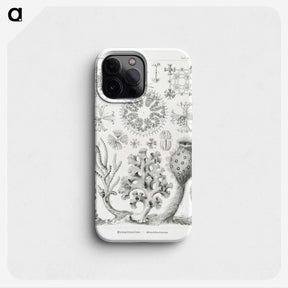 2-62_Ernst-Haeckel_phone