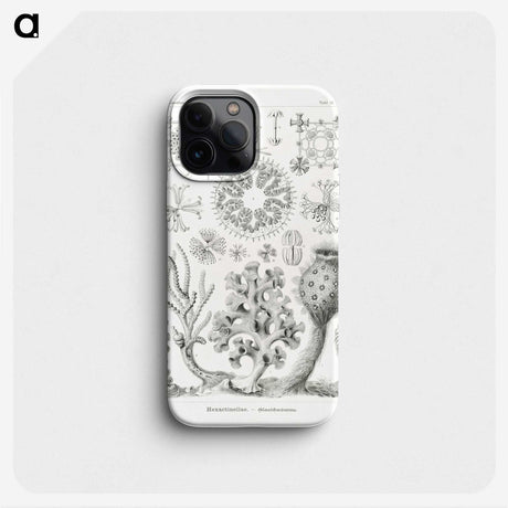 2-62_Ernst-Haeckel_phone