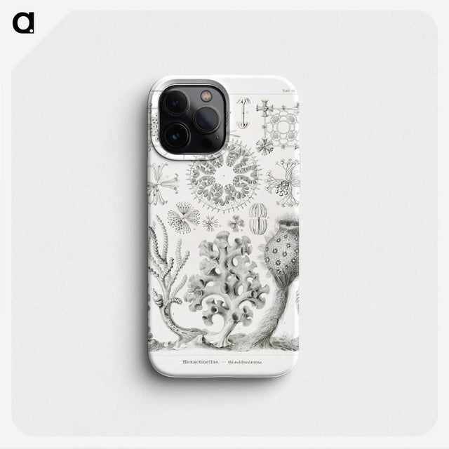2-62_Ernst-Haeckel_phone