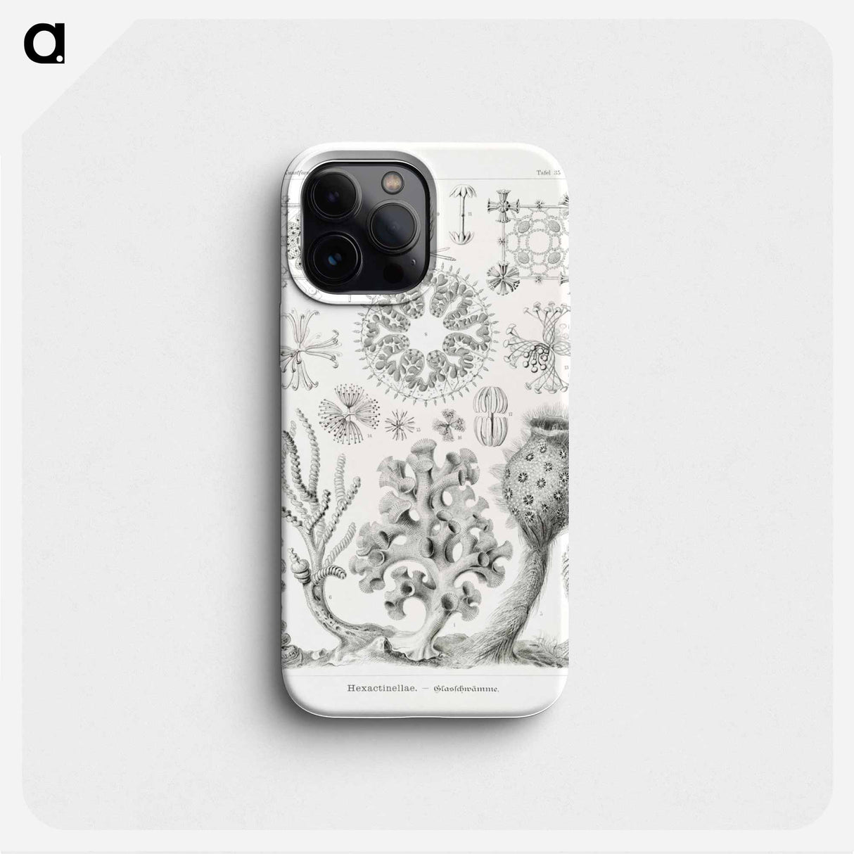 Hexactinellae–Glasschwämme - エルンスト ヘッケル Phone Case.