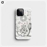 Hexactinellae–Glasschwämme - エルンスト ヘッケル Phone Case.