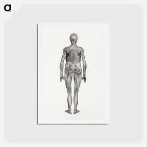 アートポストカード-Human Figure, Posterior View
 - ジョージ スタッブス Postcard.