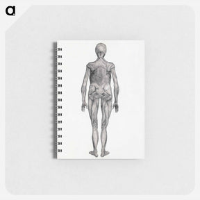 アートメモ帳-Human Figure, Posterior View
 - ジョージ スタッブス Memo.