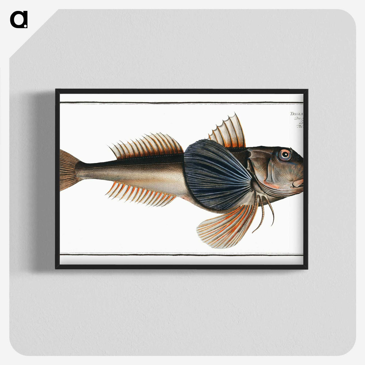 2-62_Ichtyologie-ou-Histoire-naturelle_blk-crop