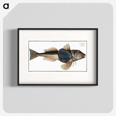 2-62_Ichtyologie-ou-Histoire-naturelle_blk