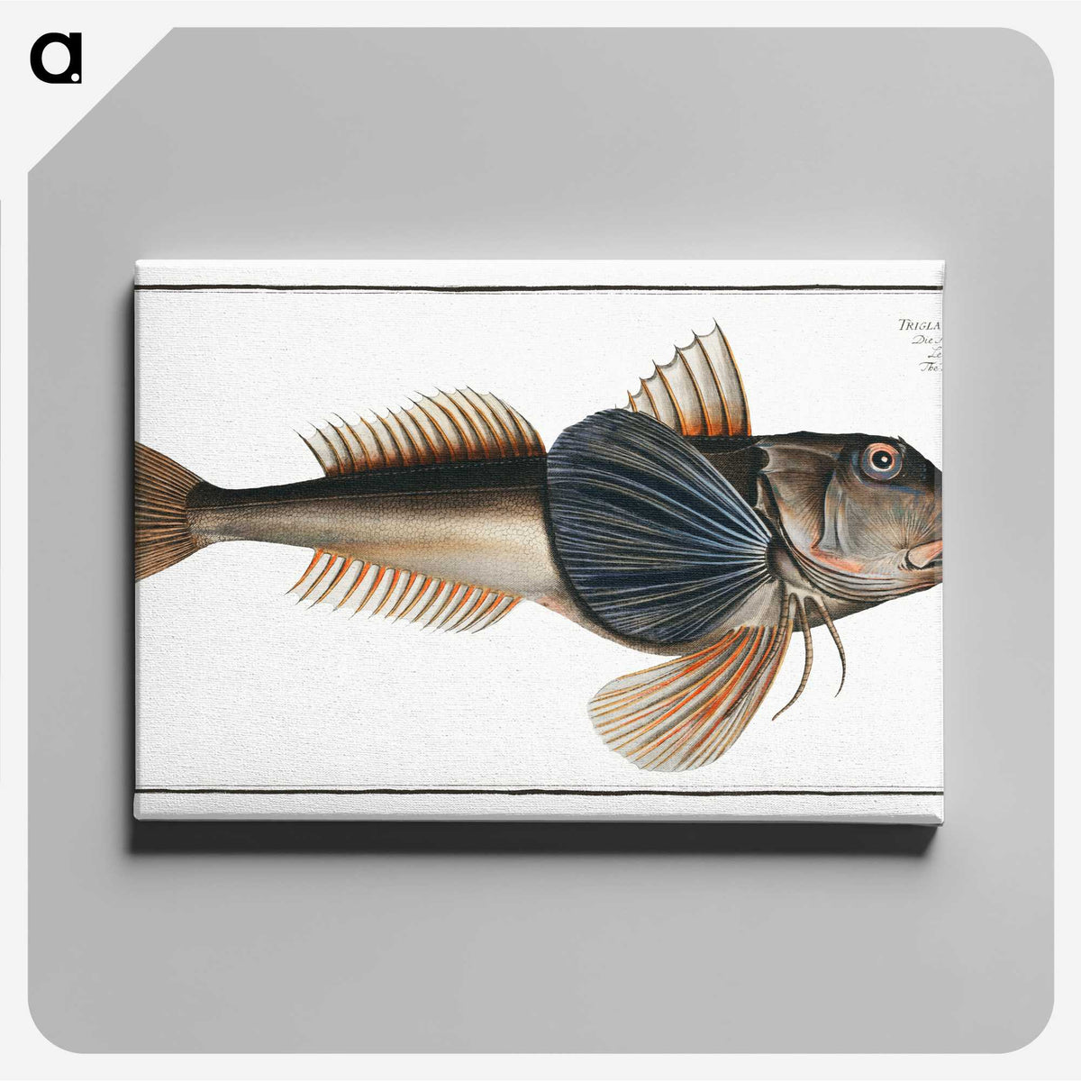 2-62_Ichtyologie-ou-Histoire-naturelle_canvas