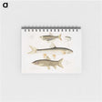 2-62_Indian-Zoology_memo