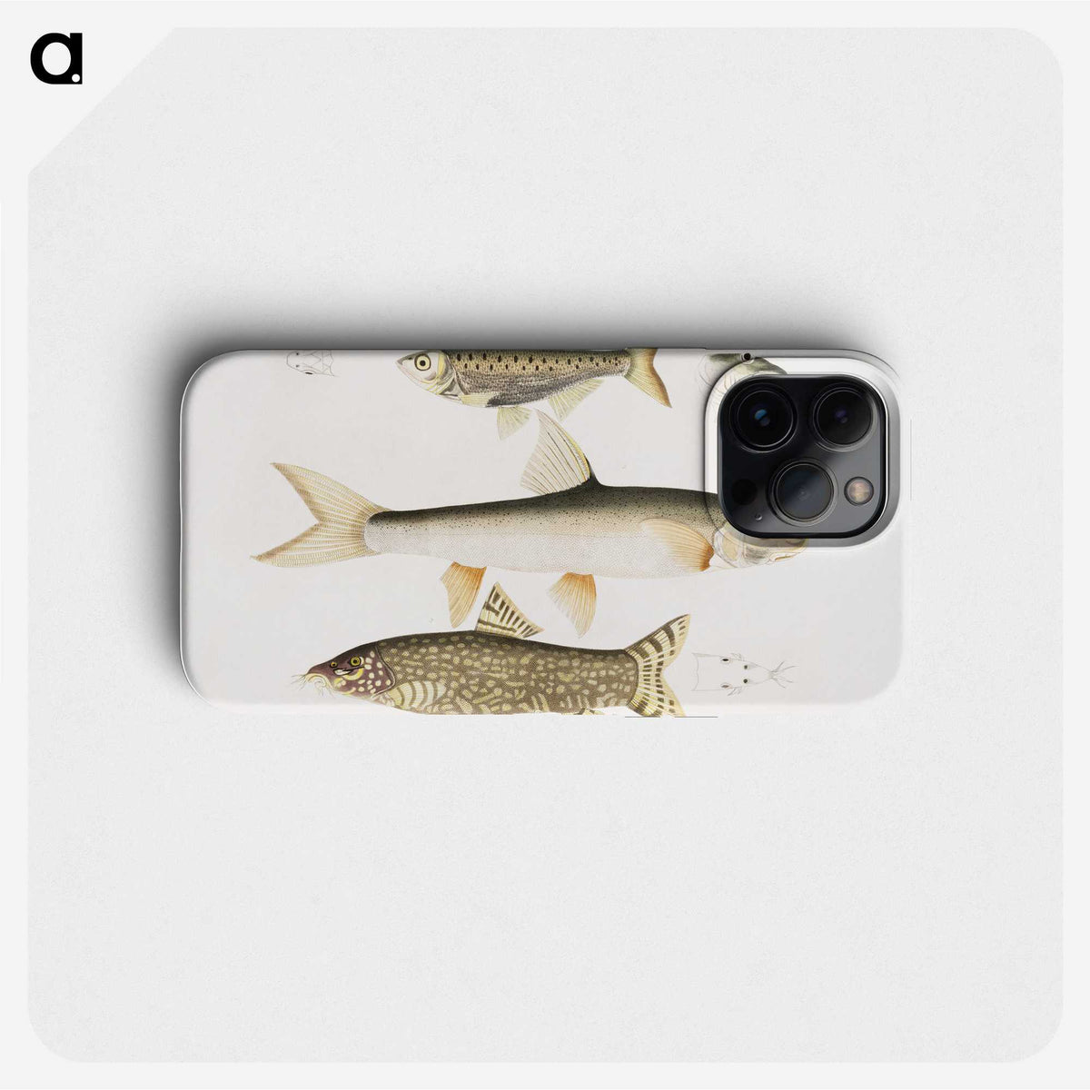 2-62_Indian-Zoology_phone