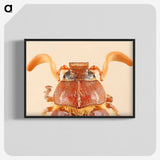 2-62_Insects-Unlocked-Project_blk-crop