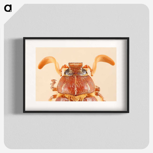 2-62_Insects-Unlocked-Project_blk