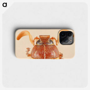 2-62_Insects-Unlocked-Project_phone