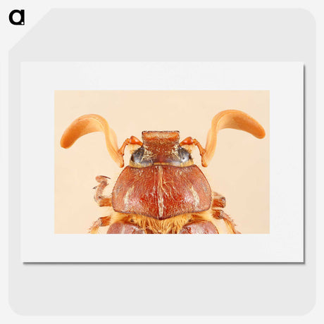 2-62_Insects-Unlocked-Project_picture