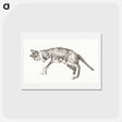 アートポストカード-Sketch of a lying cat - ジャン ベルナール Postcard.