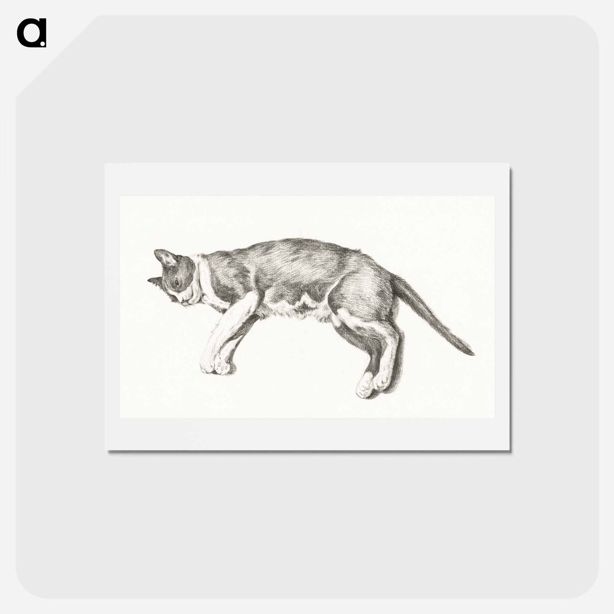 アートポストカード-Sketch of a lying cat - ジャン ベルナール Postcard.