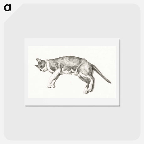 アートポストカード-Sketch of a lying cat - ジャン ベルナール Postcard.