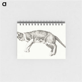 2-62_Jean-Bernard_memo