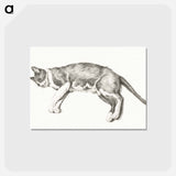 アートポストカード-Sketch of a lying cat - ジャン ベルナール Postcard.