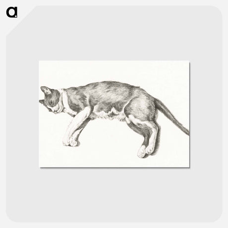 アートポストカード-Sketch of a lying cat - ジャン ベルナール Postcard.