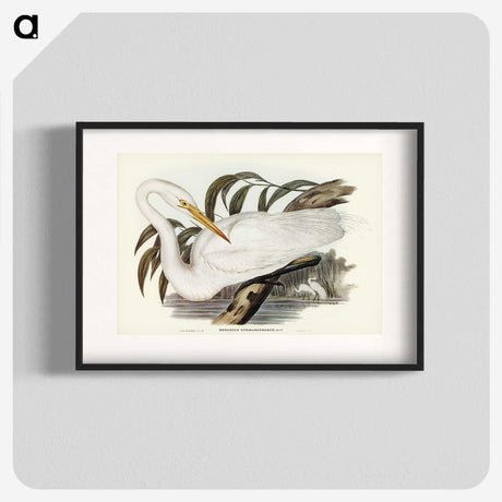2-62_John-Gould_blk