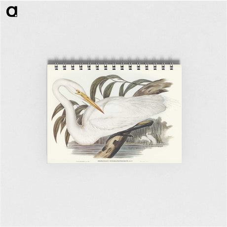2-62_John-Gould_memo