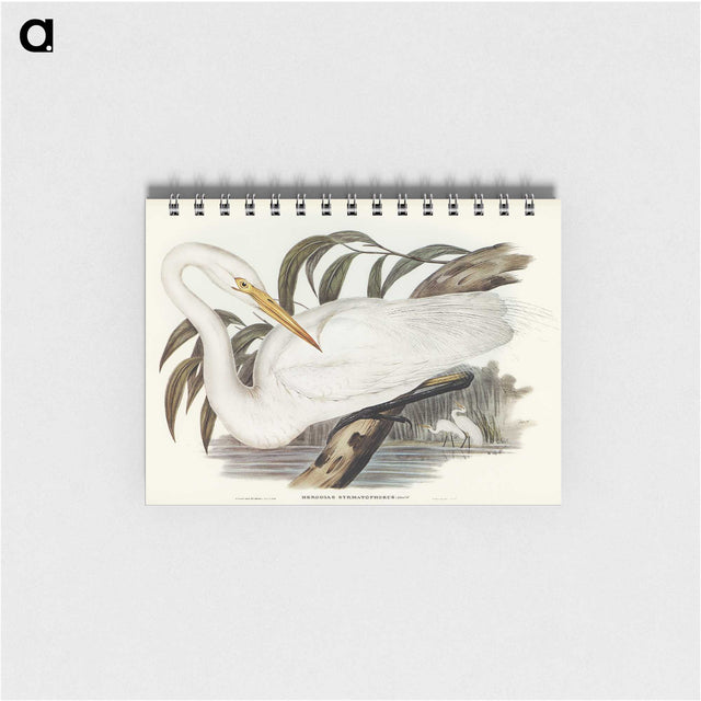 2-62_John-Gould_memo