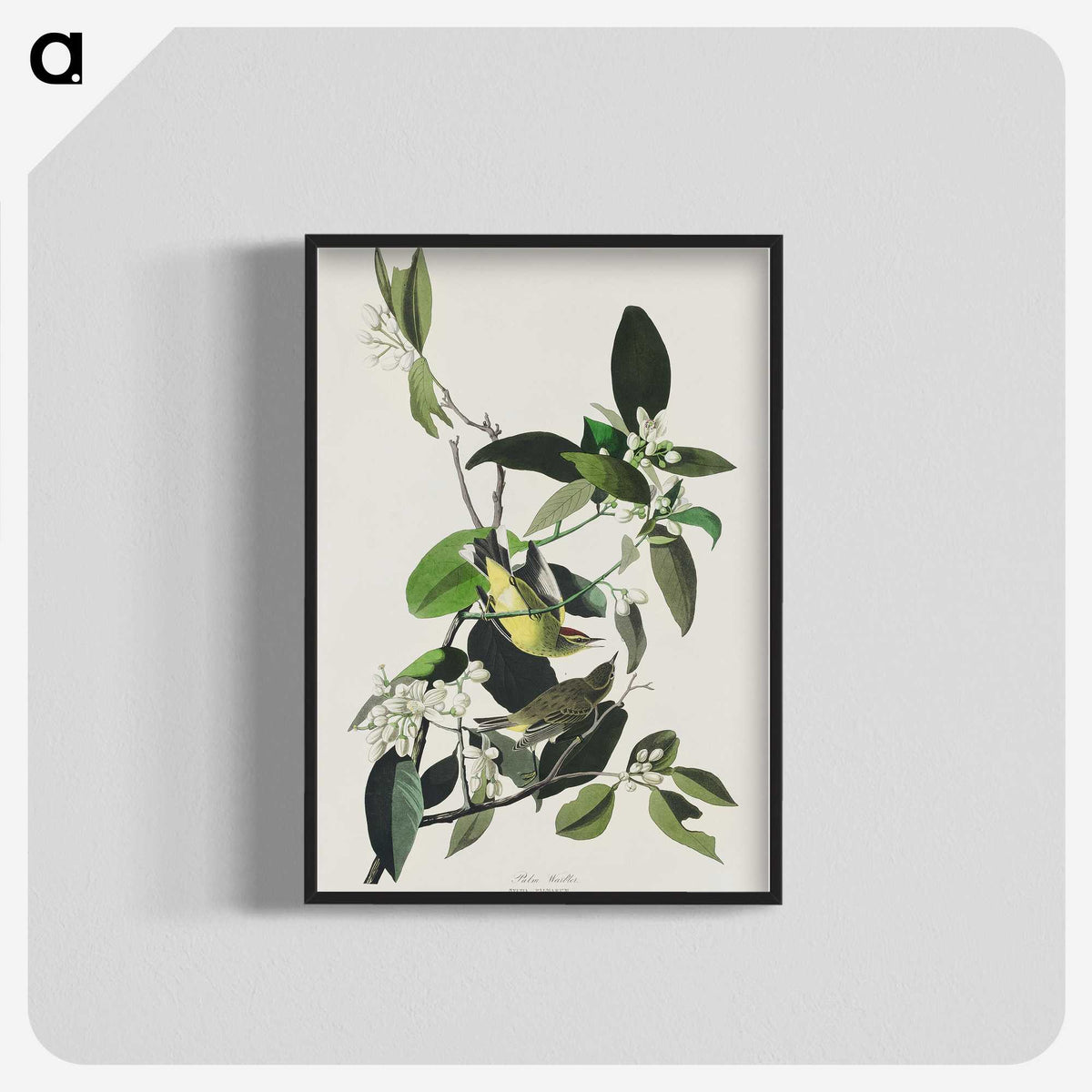 2-62_John-James-Audubon_blk-crop