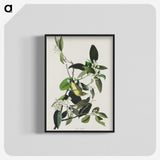 2-62_John-James-Audubon_blk-crop