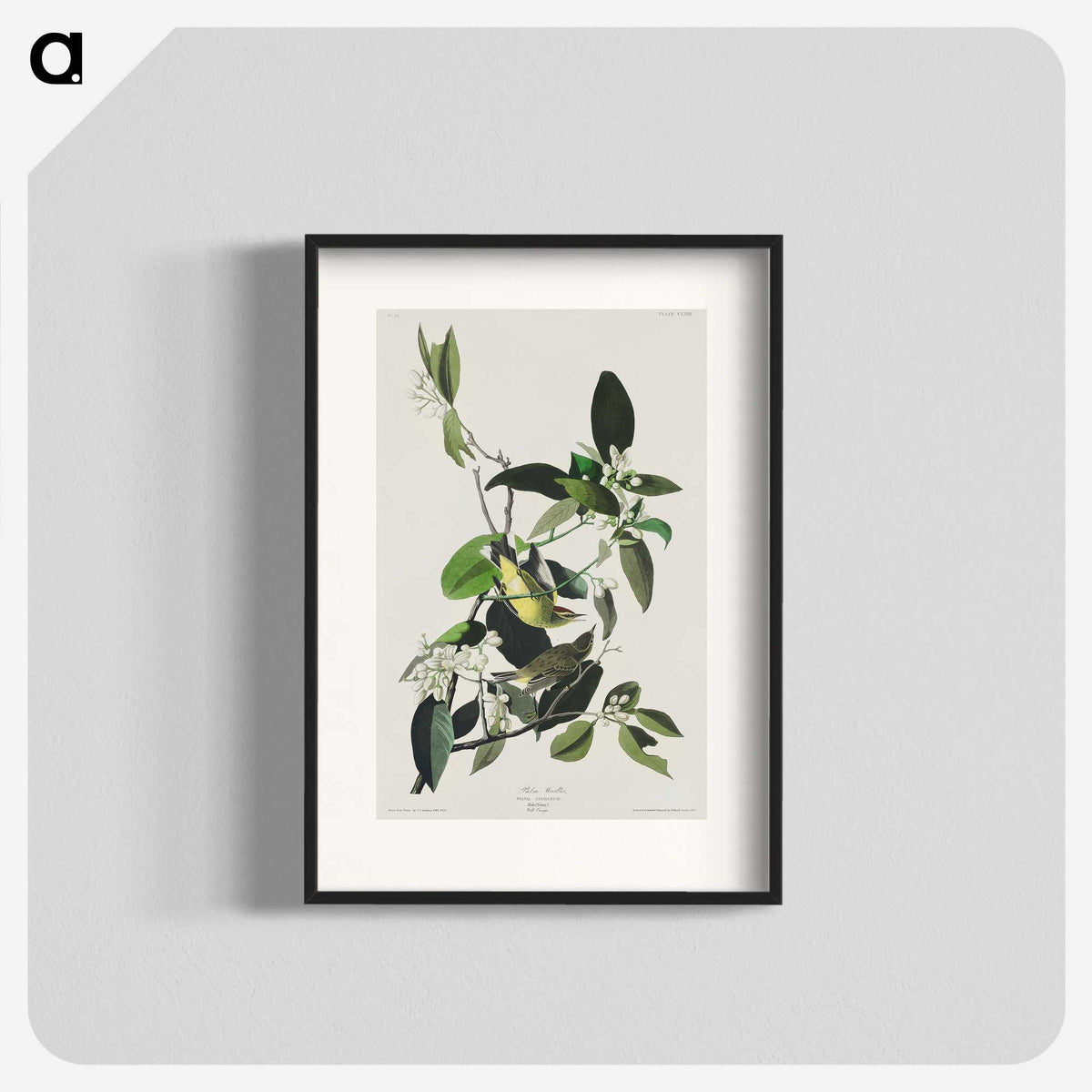 2-62_John-James-Audubon_blk
