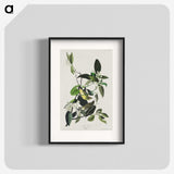 2-62_John-James-Audubon_blk