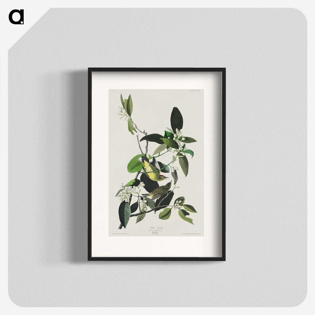 2-62_John-James-Audubon_blk