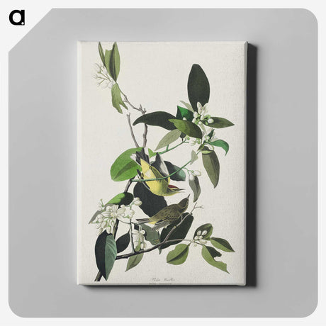 2-62_John-James-Audubon_canvas